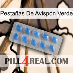 Pestañas De Avispón Verde 22